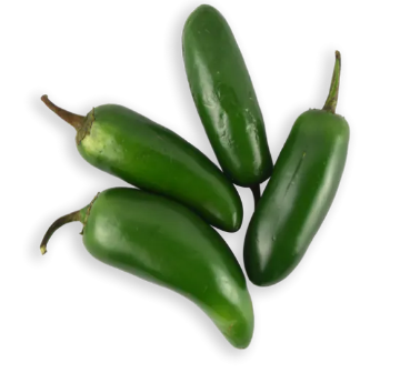 Jalapeno Pepper 1 LBS